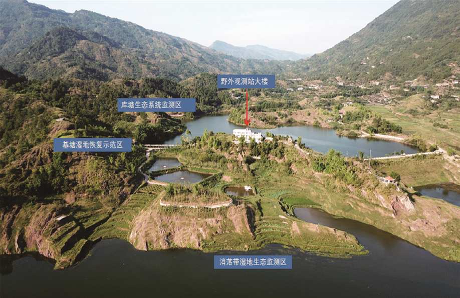 奥马大全