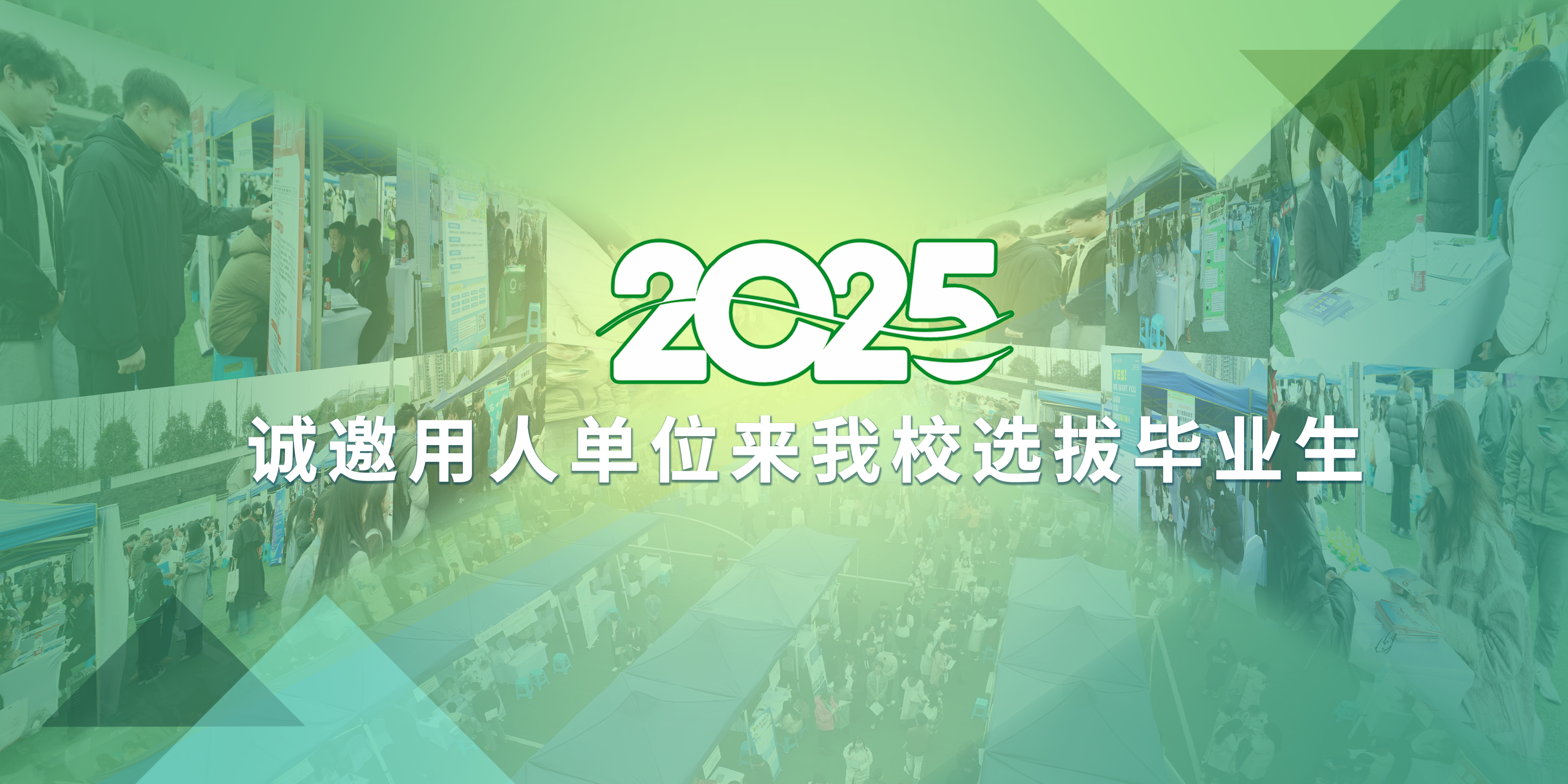 奥马大全
